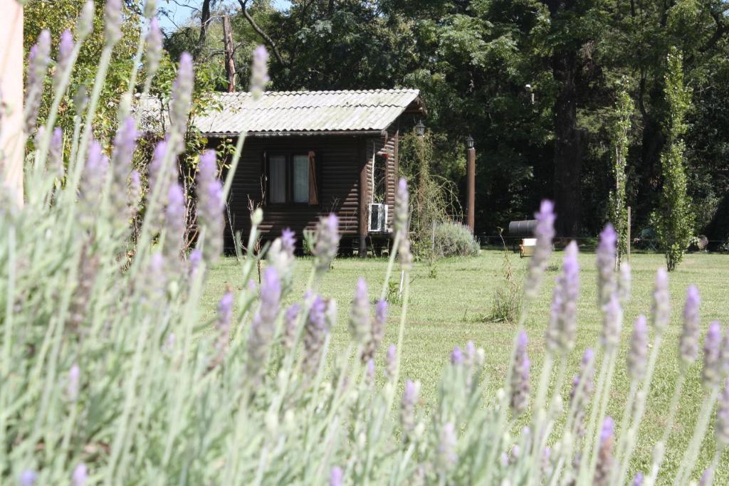 Cabanas Las Lavandas En Pilar Pilar  Ngoại thất bức ảnh